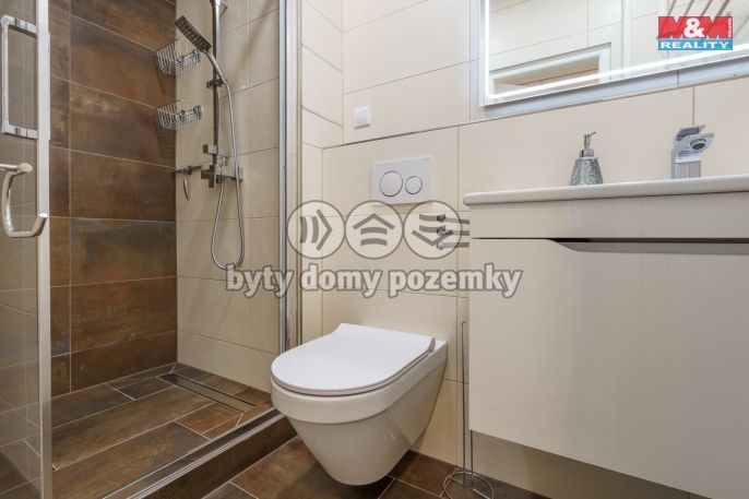 Pronájem, Byt 2+1, Nová Role