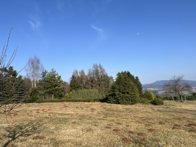 Prodej, Zahrada, Hronov