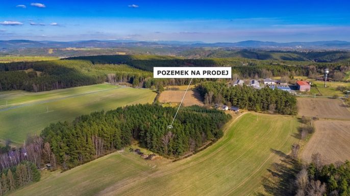 Prodej, Les, Všelibice