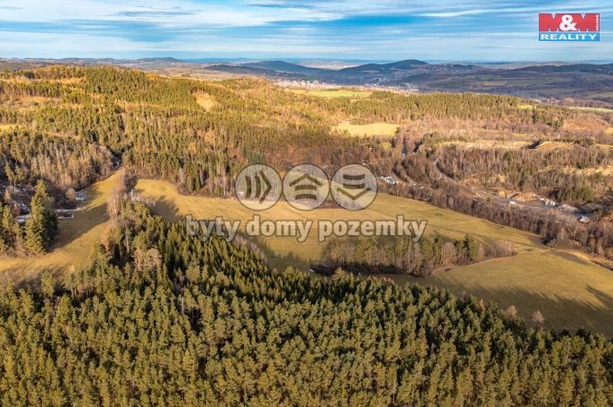 Prodej, Les, Malenice