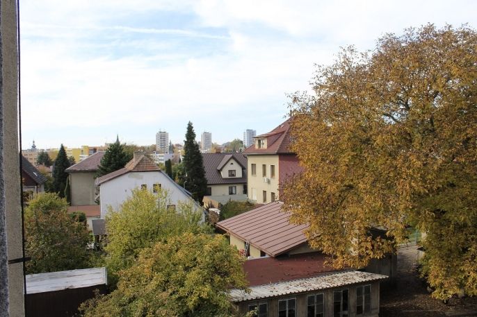 Pronájem, Byt 3+1, Nové Město na Moravě