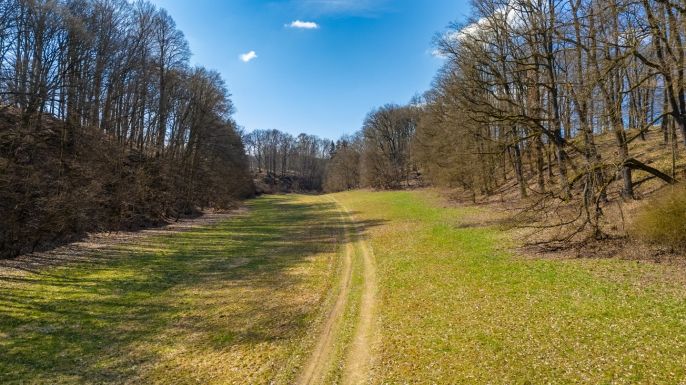 Prodej, Louka, Tachov