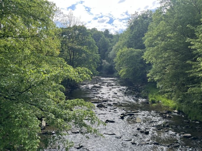 Pronájem, Rodinný dům, Návsí