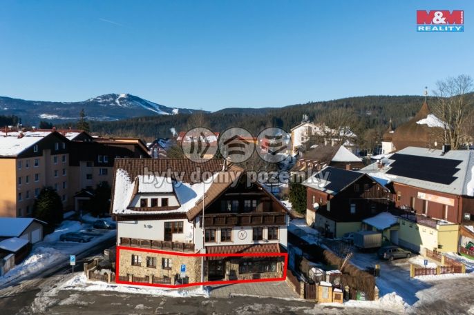 Pronájem, Obchod a služby, Železná Ruda