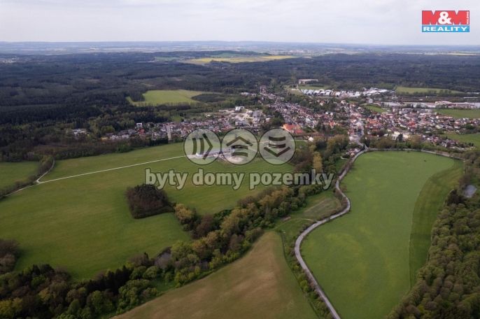 Prodej, Les, Borohrádek