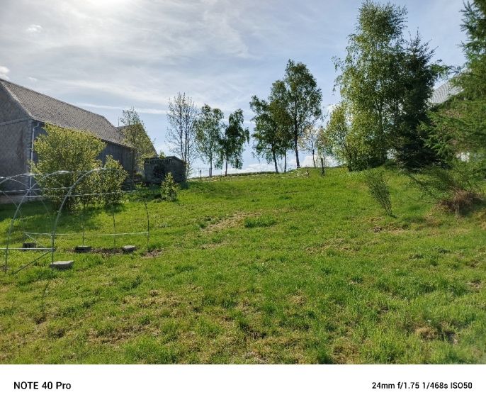 Prodej, Rodinný dům, Friedebach
