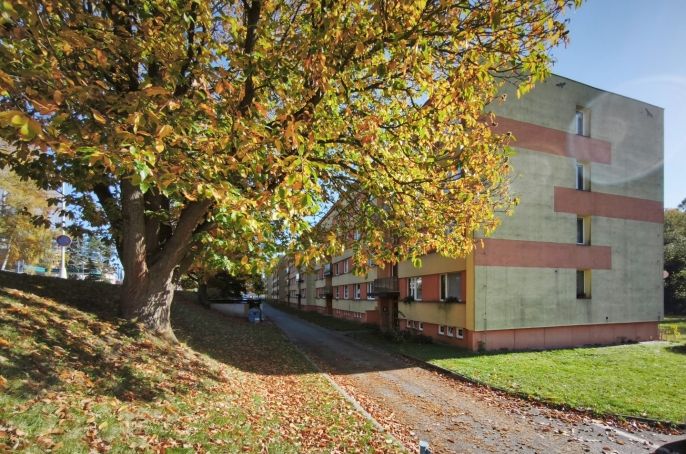 Prodej, Byt 2+1, Světlá nad Sázavou