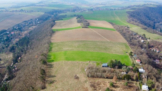 Prodej, Ovocný sad, Zadní Třebaň