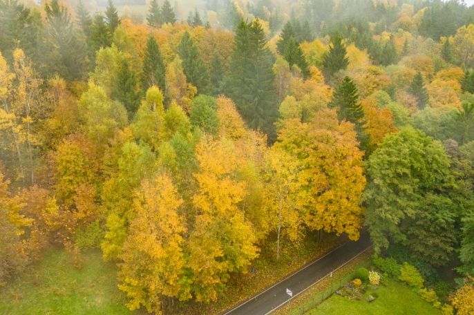 Prodej, Ostatní, Nová Ves nad Nisou