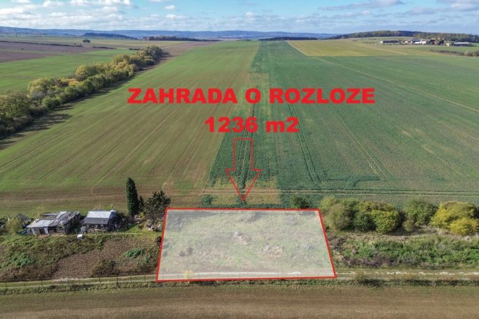 Prodej, Zahrada, Lubná