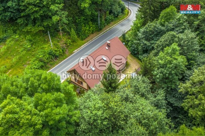 Prodej, Hotel, penzion, Rokytnice nad Jizerou