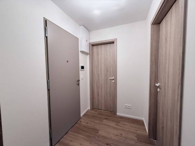 Pronájem, Byt 2+kk, Brandýs nad Labem-Stará Boleslav