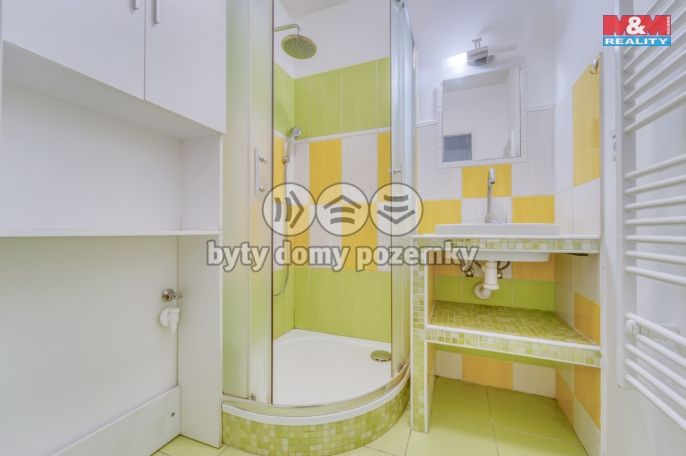 Pronájem, Byt 2+1, Planá