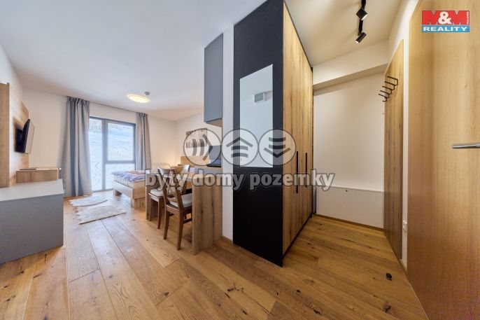 Prodej, Byt 1+kk, Janské Lázně