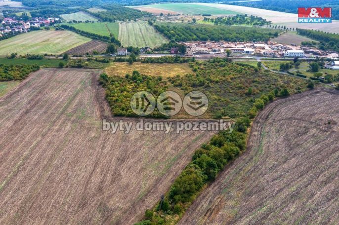 Prodej, Ovocný sad, Chotiměř