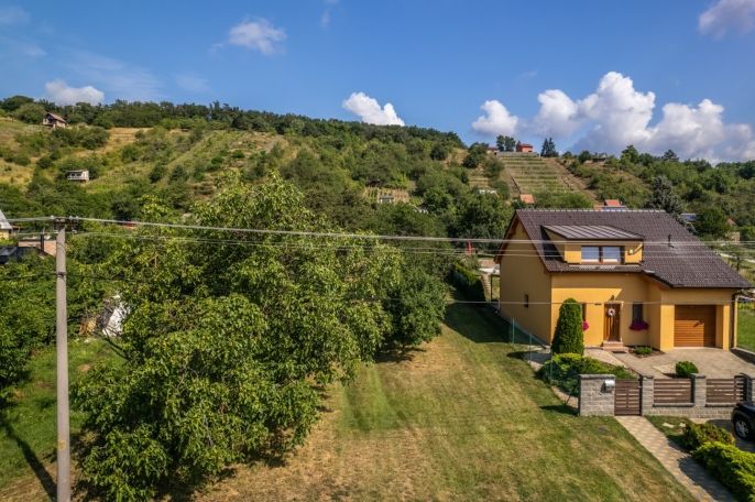 Prodej, Pozemek k bydlení, Viničné Šumice