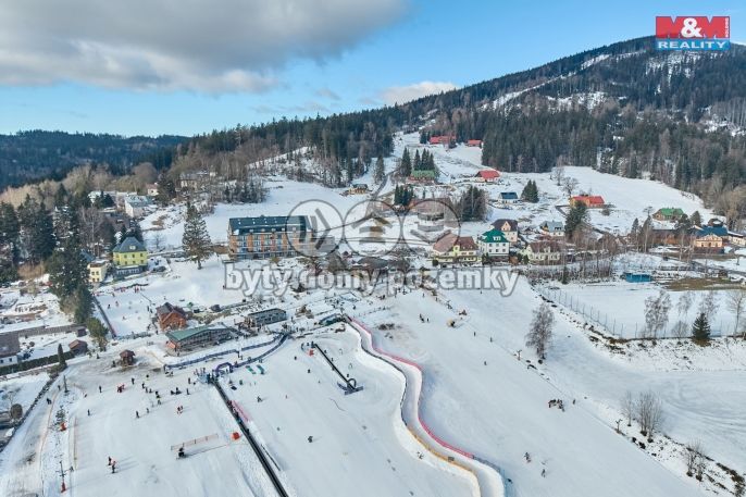 Prodej, Byt 1+kk, Janské Lázně