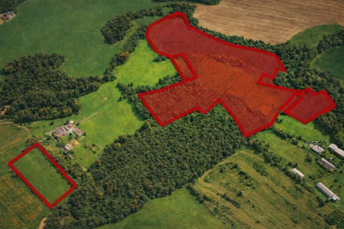 Prodej, Komerční pozemky, Křečovice