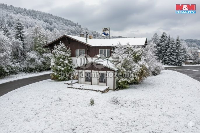 Prodej, Restaurace, stravování, Plavy