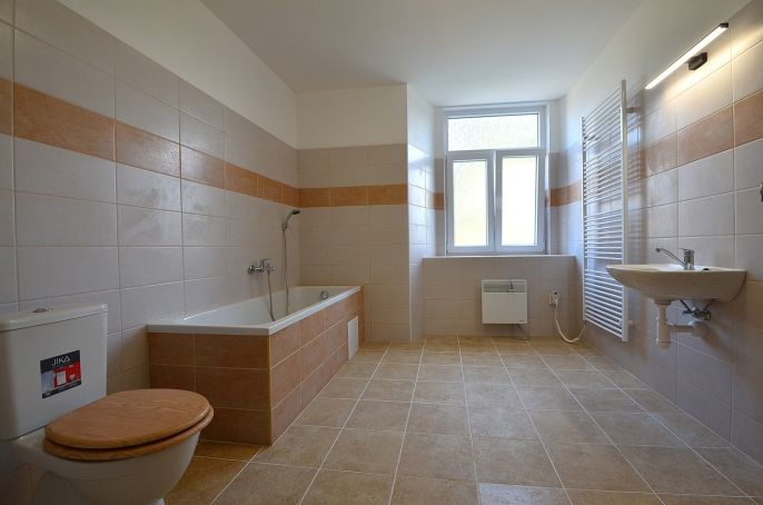 Pronájem, Byt 1+kk, Vlčice