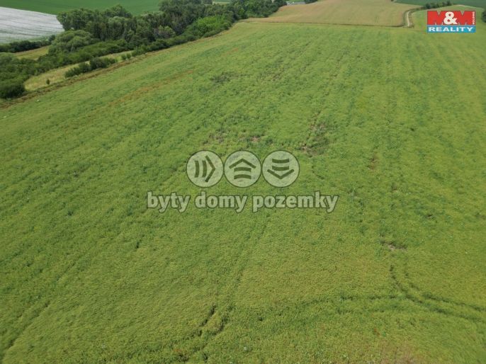 Prodej, Pole, Prostějov