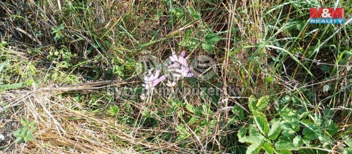 Prodej, Louka, Chyňava