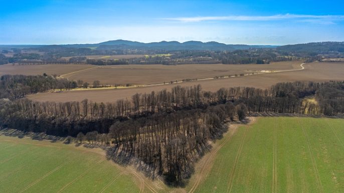 Prodej, Louka, Tachov