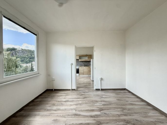 Pronájem, Byt 1+1, Děčín