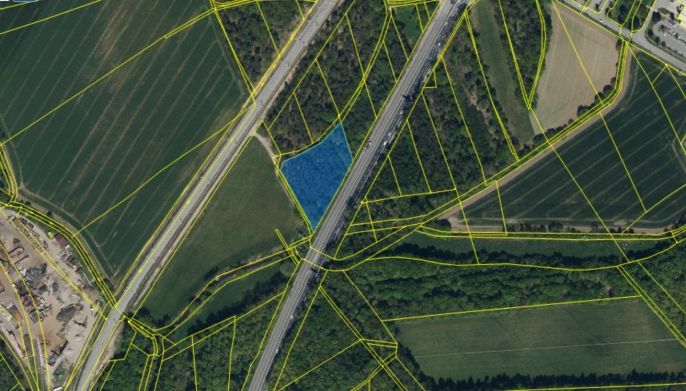 Prodej, Les, Pardubice