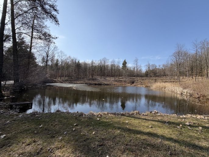 Prodej, Byt 3+1, Přemyslovice