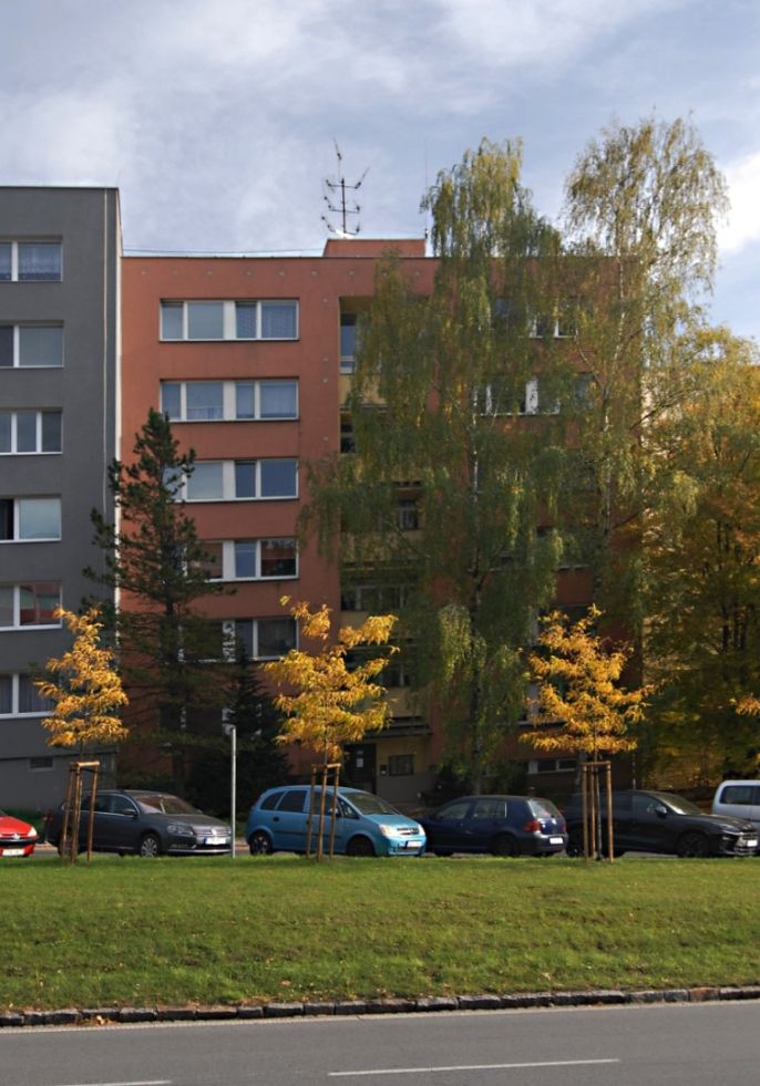 Prodej, Byt 1+1, Frýdek-Místek