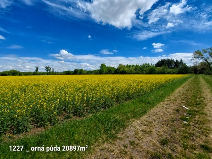 Prodej, Ostatní, Pňov-Předhradí
