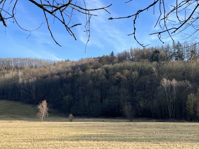 Prodej, Pozemek k bydlení, Náchod