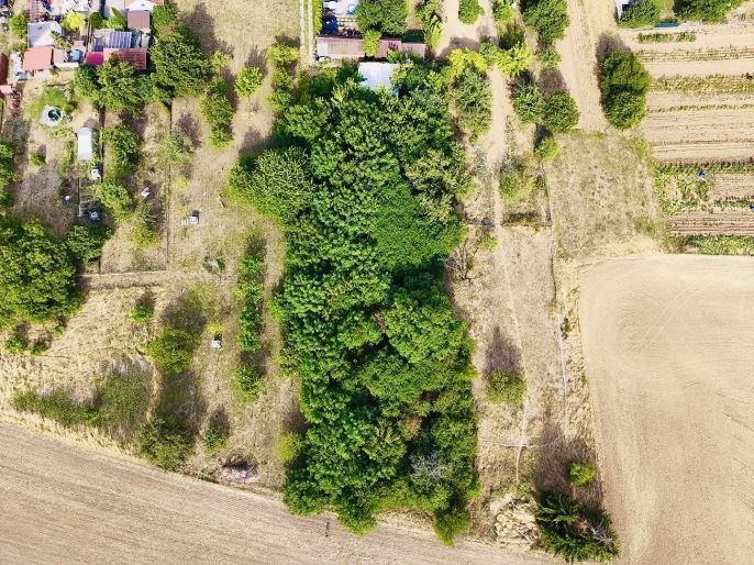 Prodej, Zahrada, Pavlovice u Kojetína