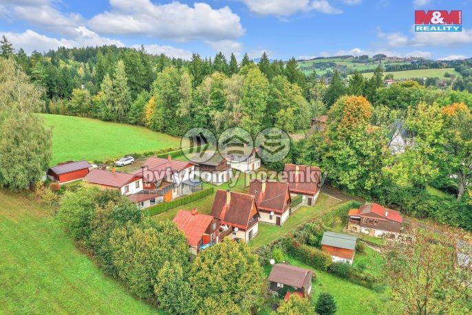 Prodej, Hotel, penzion, Pastviny