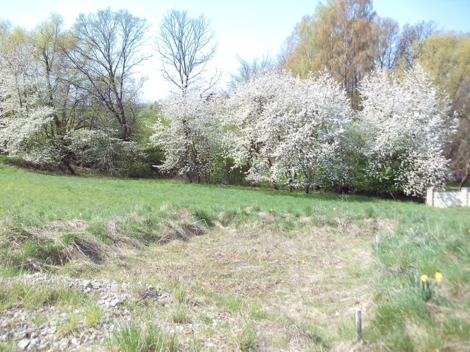 Prodej, Zahrada, Horní Bludovice