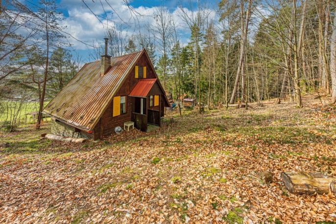 Prodej, Chata, Ledečko