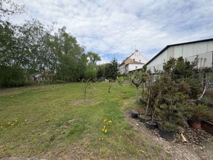 Prodej, Zahrada, Otvice