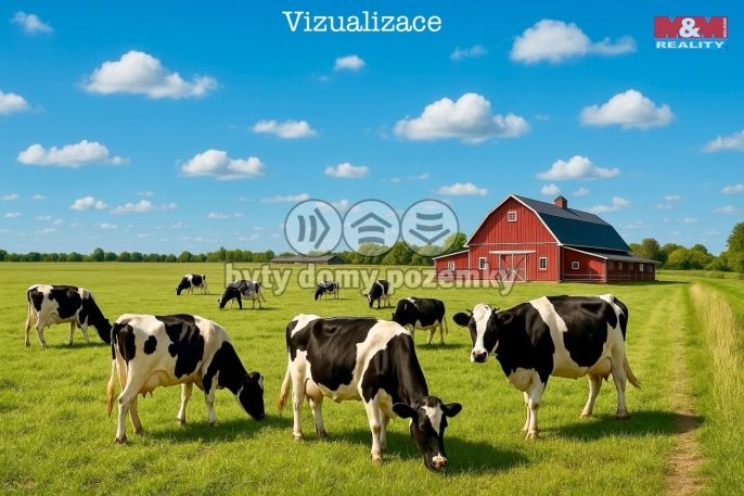 Prodej, Pole, Dolní Roveň