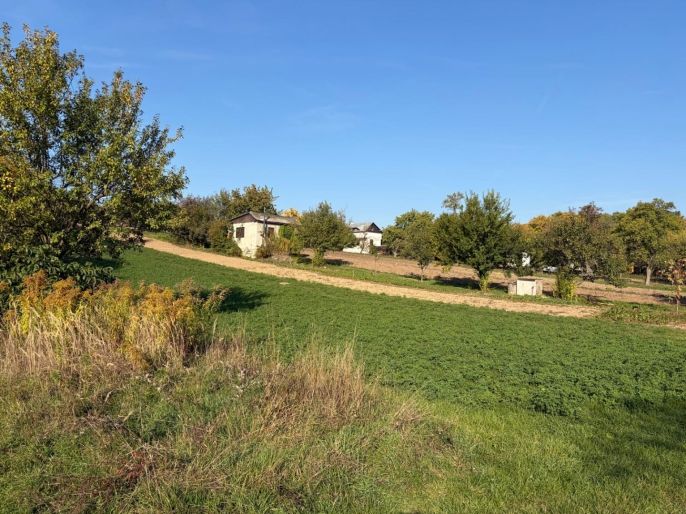 Prodej, Zahrada, Šlapanice