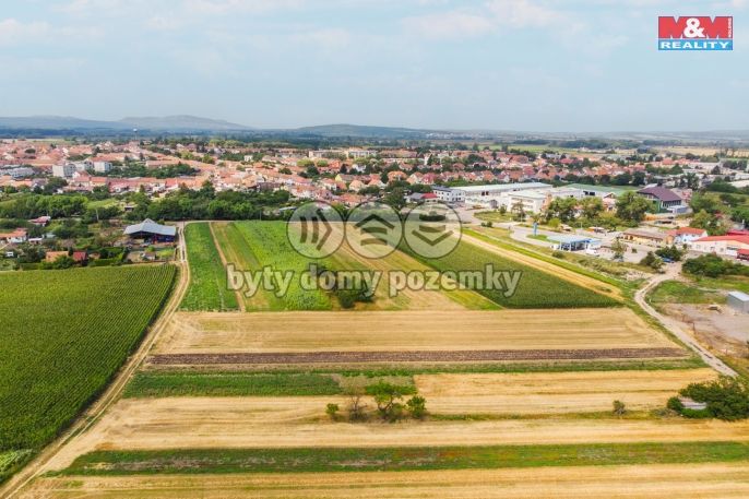 Prodej, Pole, Podivín