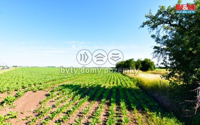 Prodej, Pole, Kostelec nad Labem