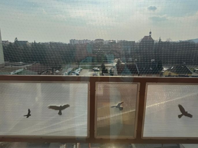 Pronájem, Byt 2+1, Chomutov