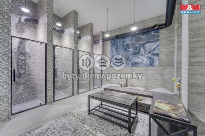 Prodej, Hotel, penzion, Karlovy Vary