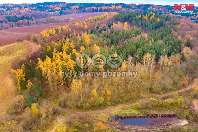 Prodej, Les, Tuchořice