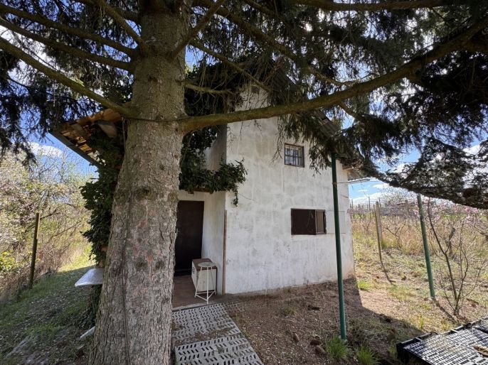 Prodej, Chata, Hrušovany u Brna