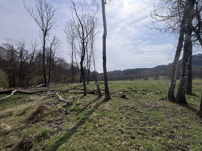 Prodej, Louka, Cvikov