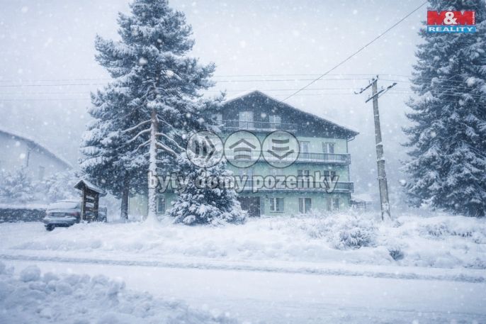 Prodej, Hotel, penzion, Železná Ruda