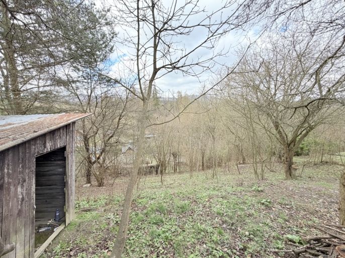 Prodej, Zahrada, Kosov