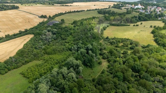 Prodej, Louka, Chabařovice